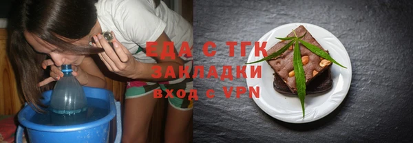 шишки Арсеньев