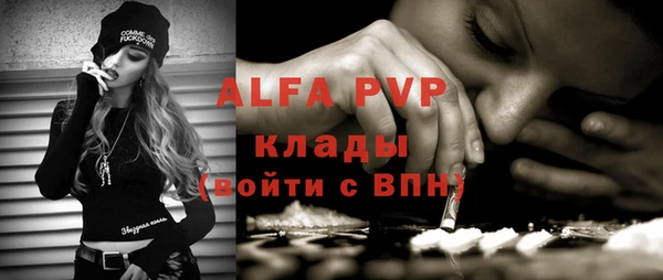 шишки Арсеньев