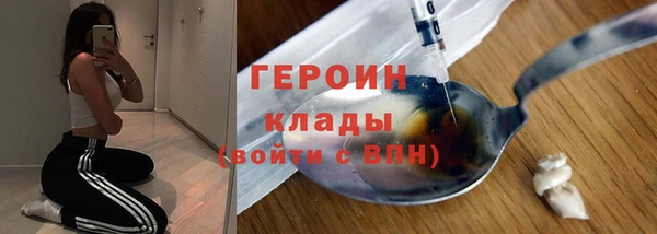 шишки Арсеньев