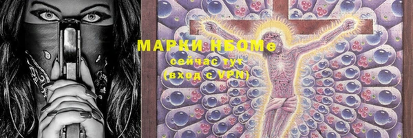 шишки Арсеньев