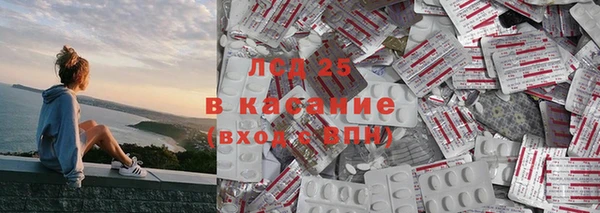 шишки Арсеньев