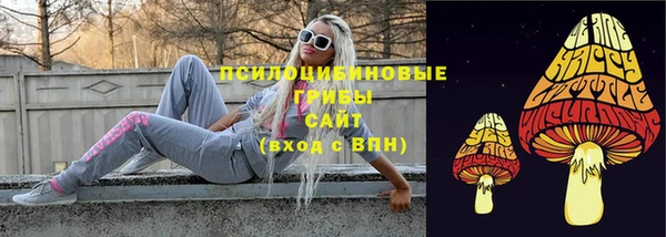 шишки Арсеньев