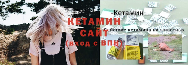 шишки Арсеньев