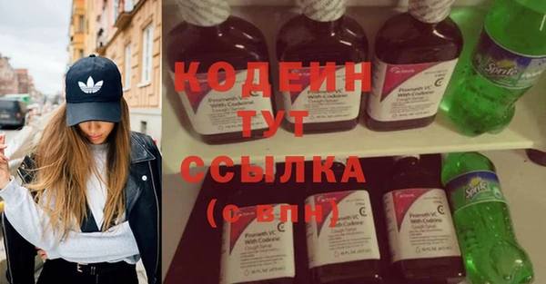 шишки Арсеньев