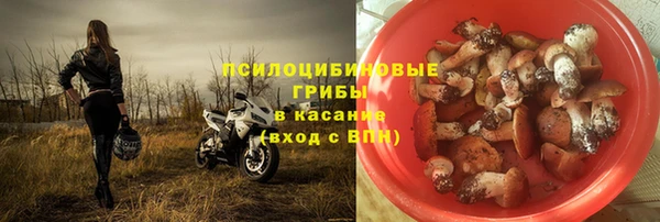 шишки Арсеньев